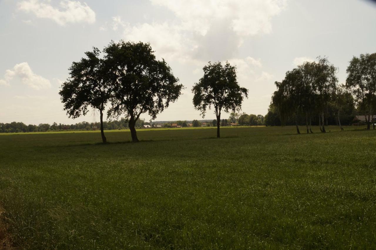 Kampenhof Villa Maaseik Kültér fotó