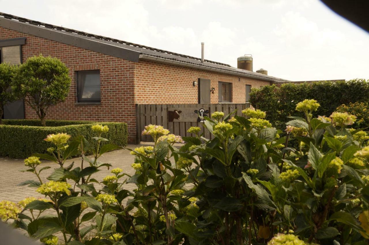 Kampenhof Villa Maaseik Kültér fotó
